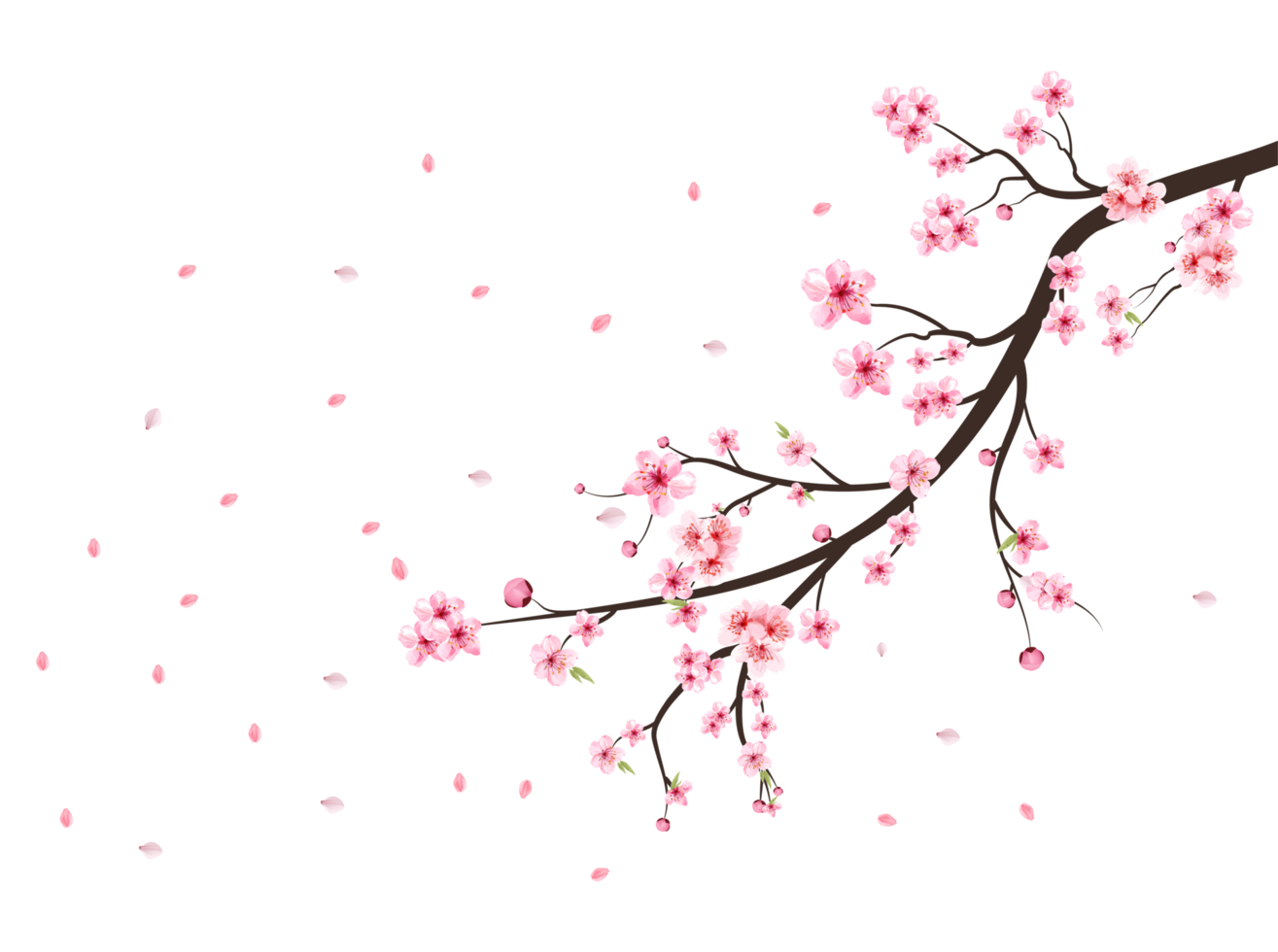 decorative branch